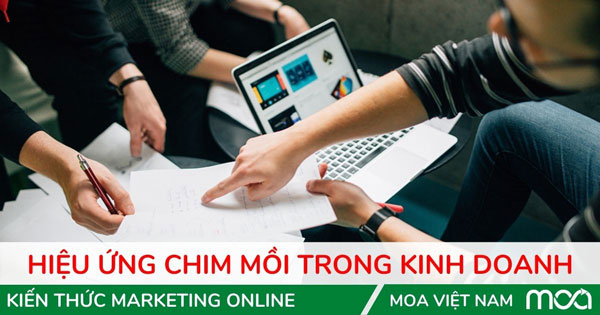 hieu-ung-chim-moi Hiệu Ứng Chim Mồi