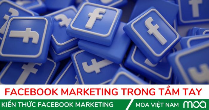 Facebook Marketing Trong Tầm Tay
