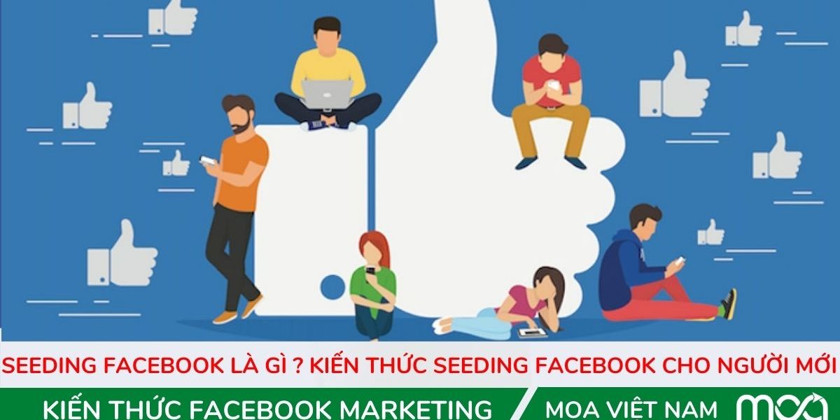 Seeding facebook là gì  Kiến thức seeding facebook cho người mới Seeding facebook là gì Kiến thức seeding facebook cho người mới