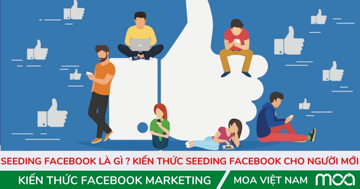 Seeding facebook là gì  Kiến thức seeding facebook cho người mới Seeding facebook là gì Kiến thức seeding facebook cho người mới