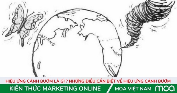 Hiệu ứng cánh bướm là gì ? Những điều cần biết về hiệu ứng cánh bướm  Hiệu ứng cánh bướm là gì ? Những điều cần biết về hiệu ứng cánh bướm