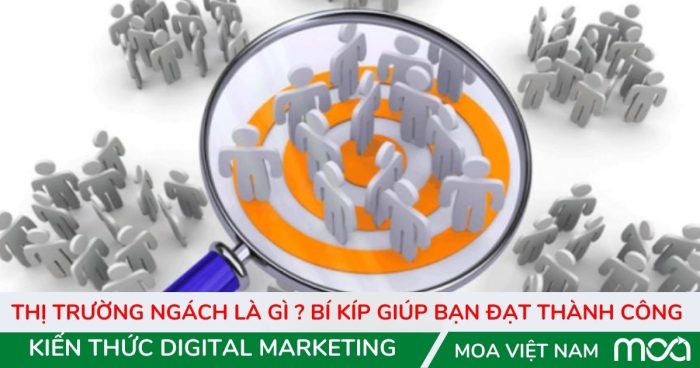 Thị trường ngách là gì Bí kíp giúp bạn đạt thành công Thị trường ngách là gì Bí kíp giúp bạn đạt thành công