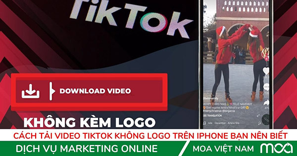 Cách tải video Tiktok không logo trên iPhone Bạn Nên Biết