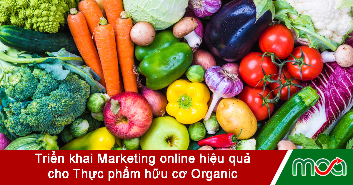 anh-dai-dien-bai-viet-marketing-onlinne-thuc-pham-huu-co